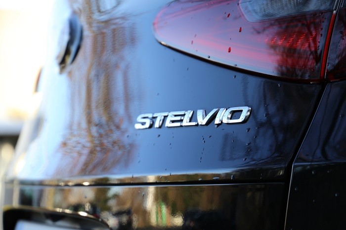 Stelvio Badge