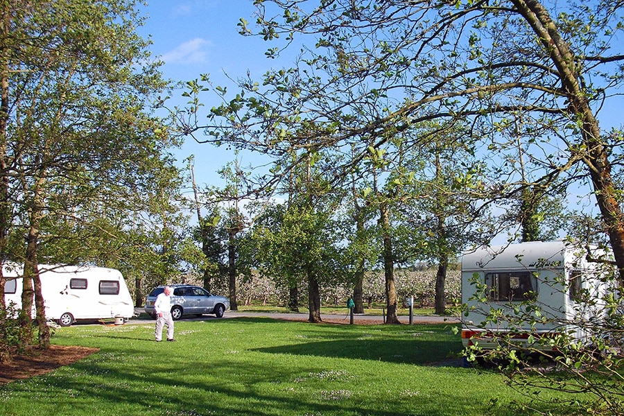 Apple Tree Camping Tipperary 
