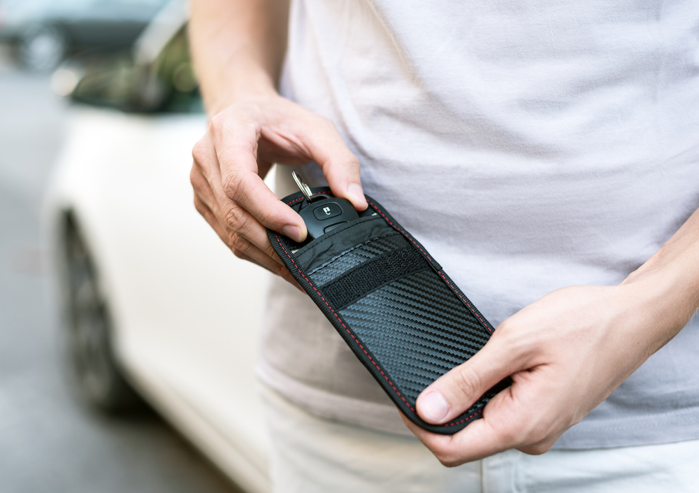 faraday-pouch