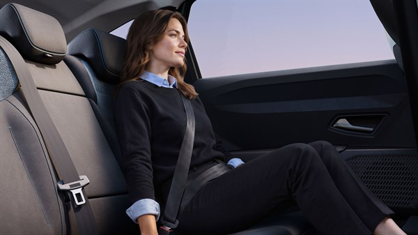 Dacia Striker Interior
