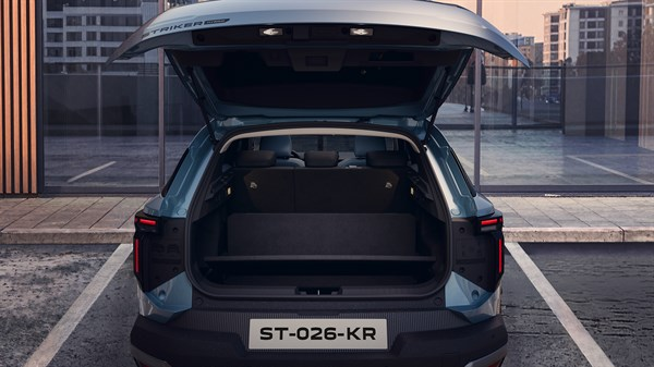 Dacia Striker Interior