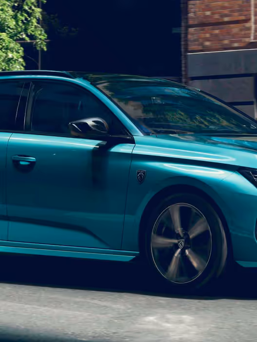 308 SW Design