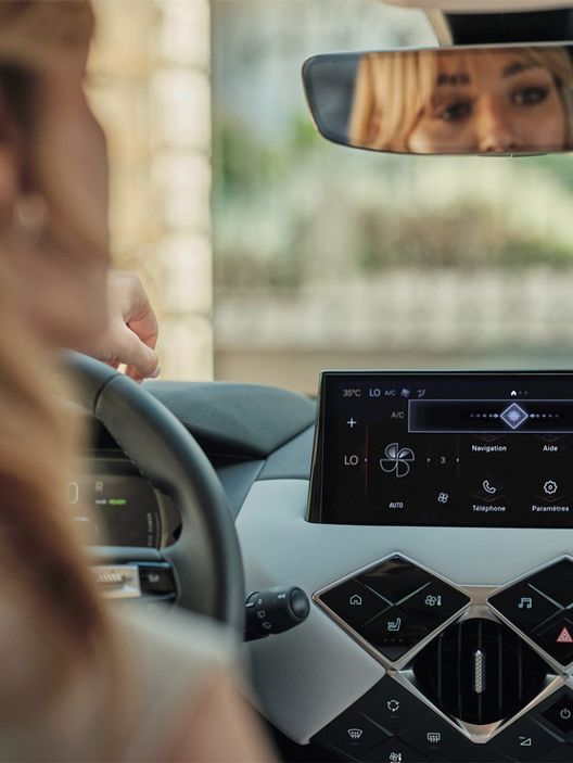 DS 3 Iris System
