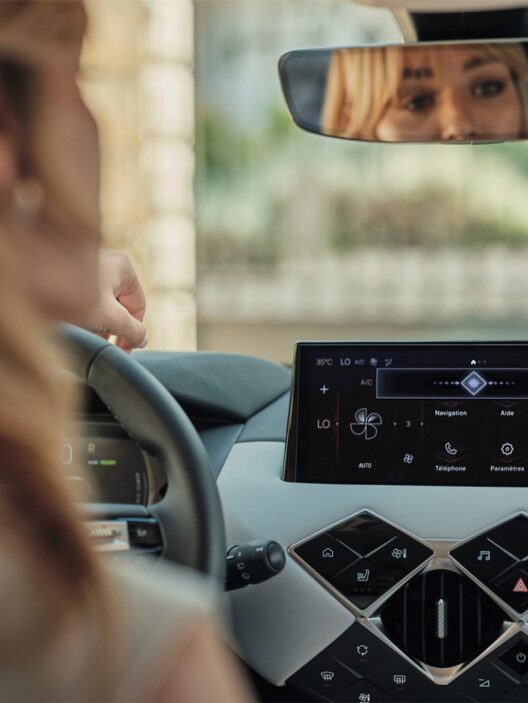 DS 3 Iris System