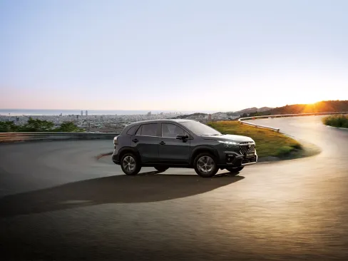 S-Cross Storage