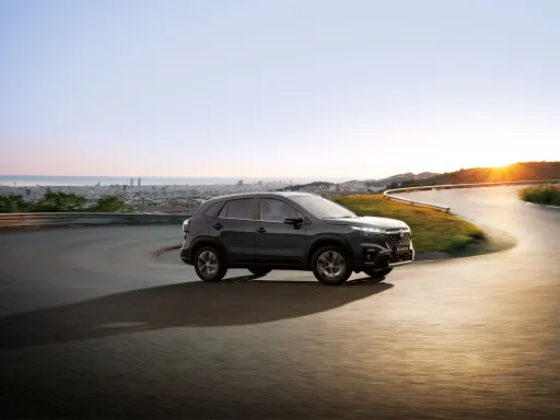 S-Cross Storage