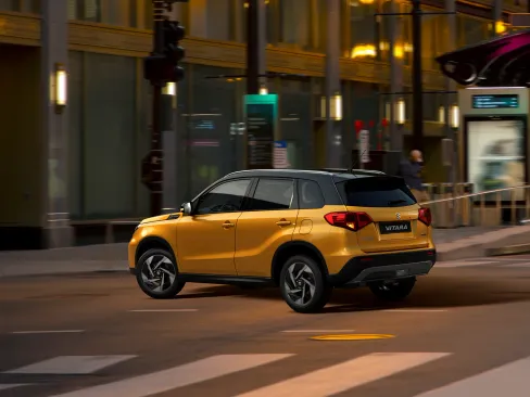 Vitara Assistance