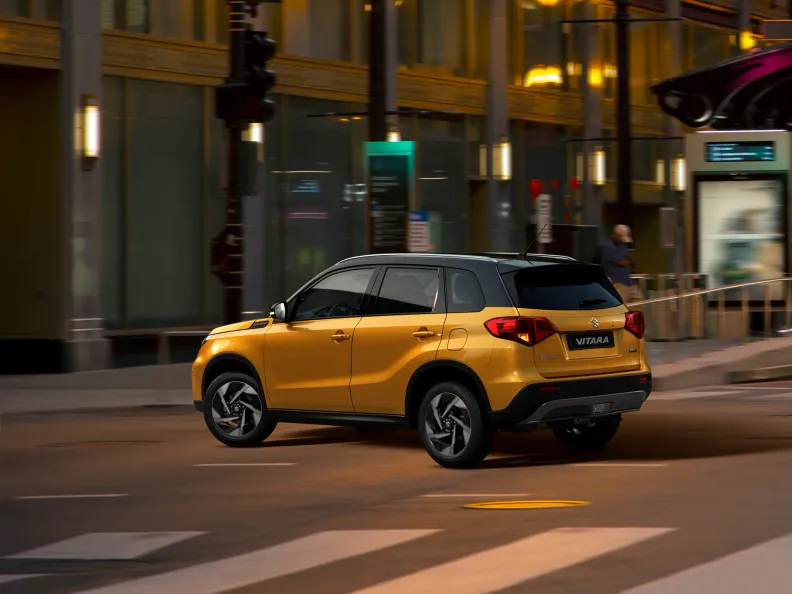 Vitara Assistance