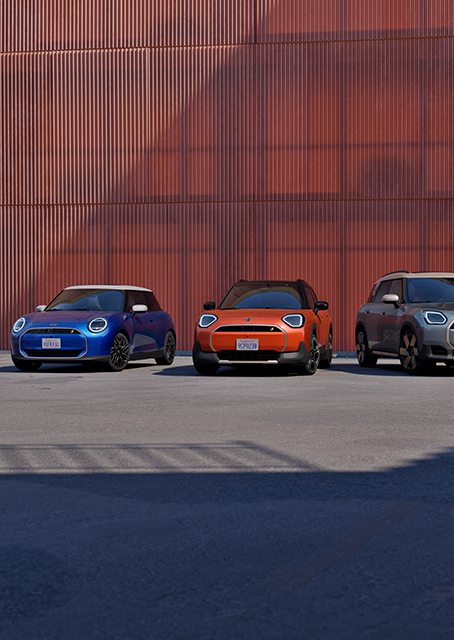 Mini Finance