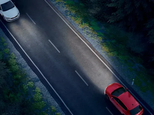 Fabia Led Light
