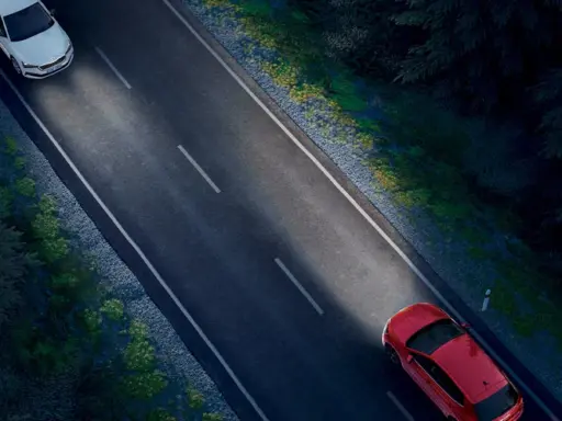 Fabia Led Light