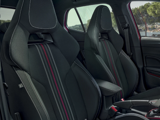 Fabia Monte Carlo Interior