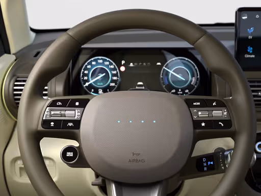 New Inster Steering Wheel