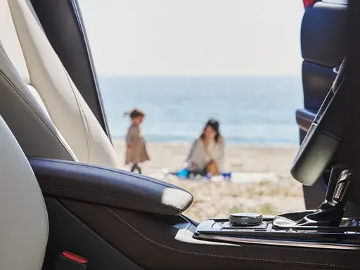 CX30 Interior