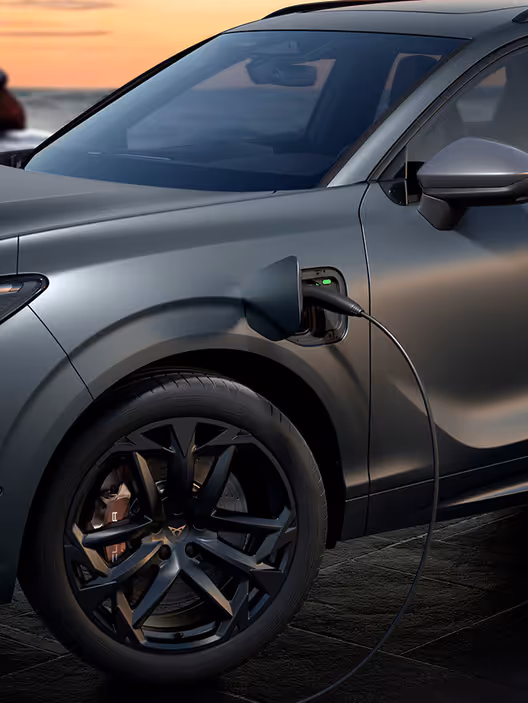 Cupra Terramar Exterior