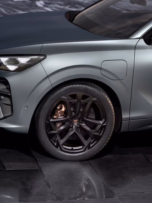 Cupra Terramar Exterior
