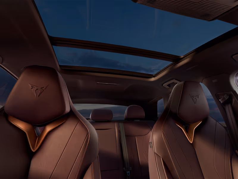 Cupra Terramar Design