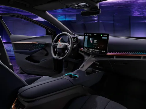 Cupra Tavascan Electric Power