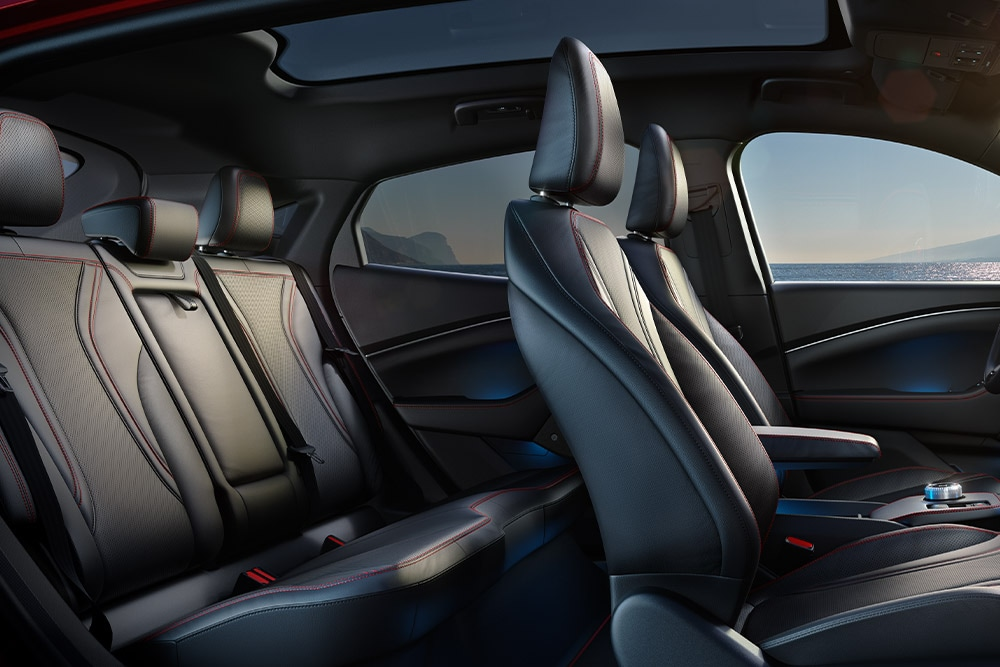 Mustang Interior