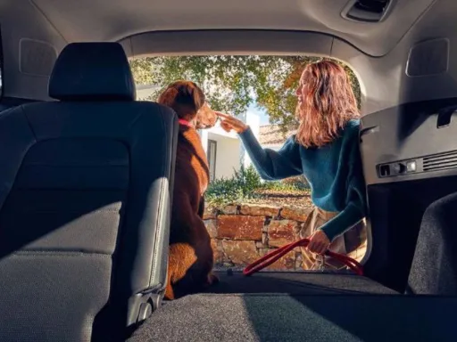 CR-V PHEV Interior