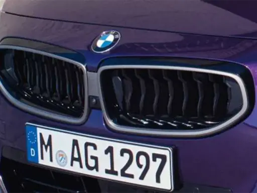 BMW 2 Series Coupé Kidney Grille