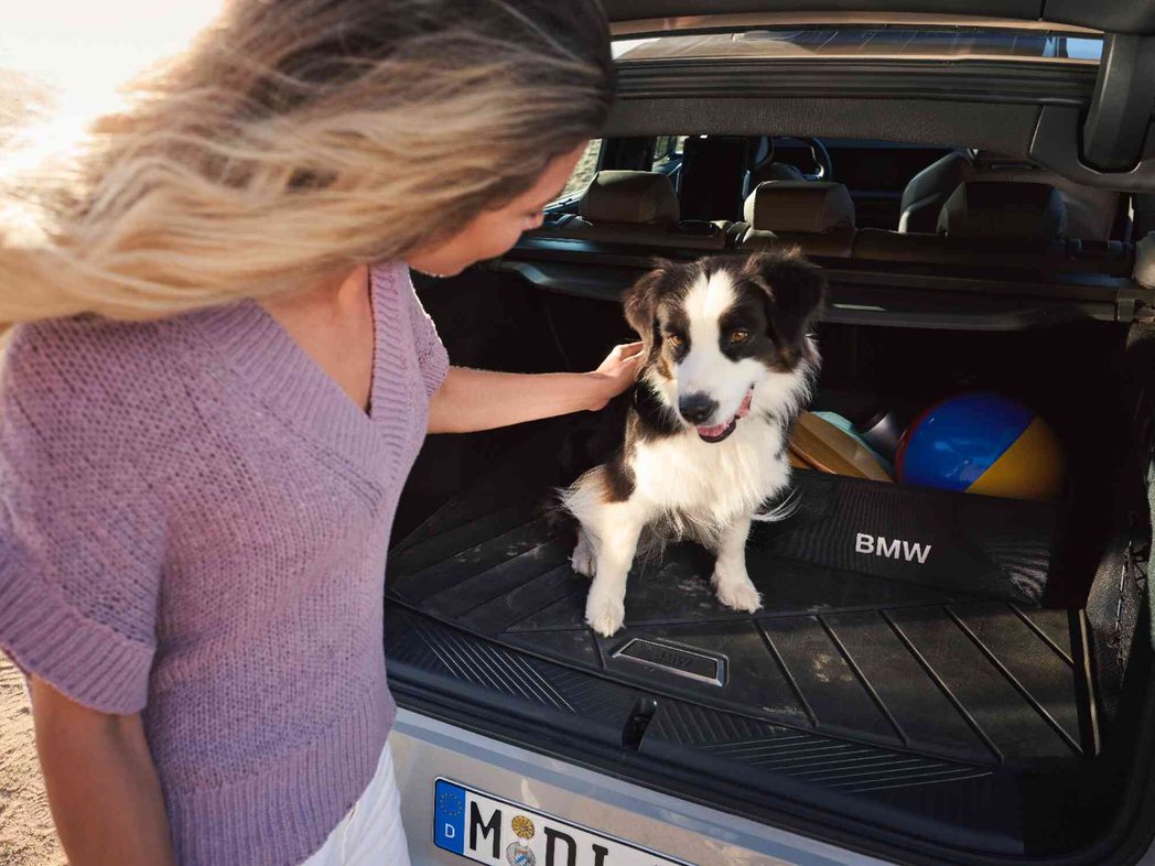 BMW Spring Summer Accessories Mat Protection Pack
