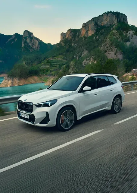 The BMW Electric Vehicle Trade-In Offer.