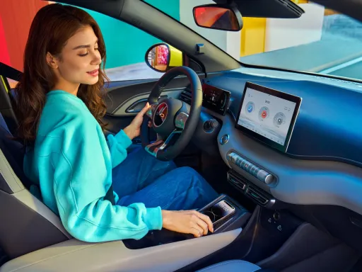 BYD Dolphin Surf Interior