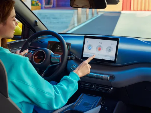 BYD Dolphin Surf Connectivity
