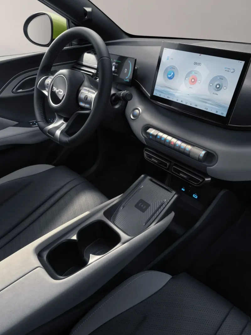 BYD Dolphin Surf Connectivity