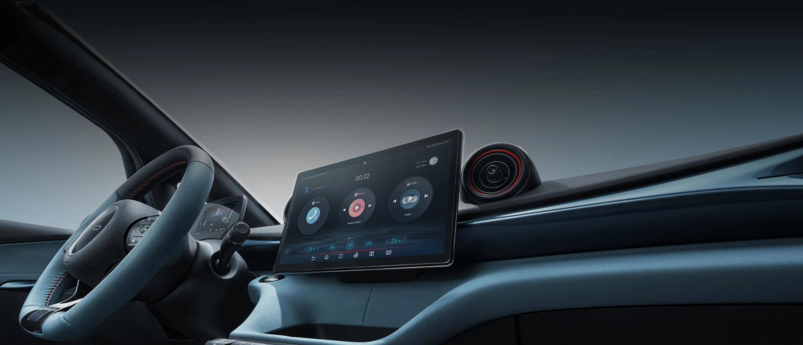 BYD Dolphin Connectivity
