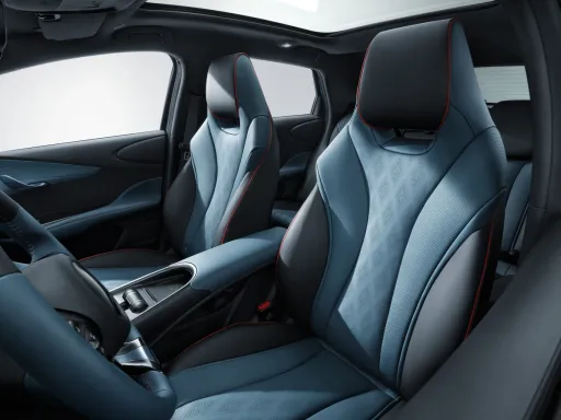 BYD Dolphin Interior