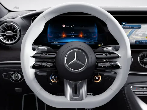 AMG GT 4 Door Coupe Performance Steering