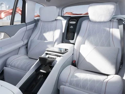 Maybach GLS Backrest Padding
